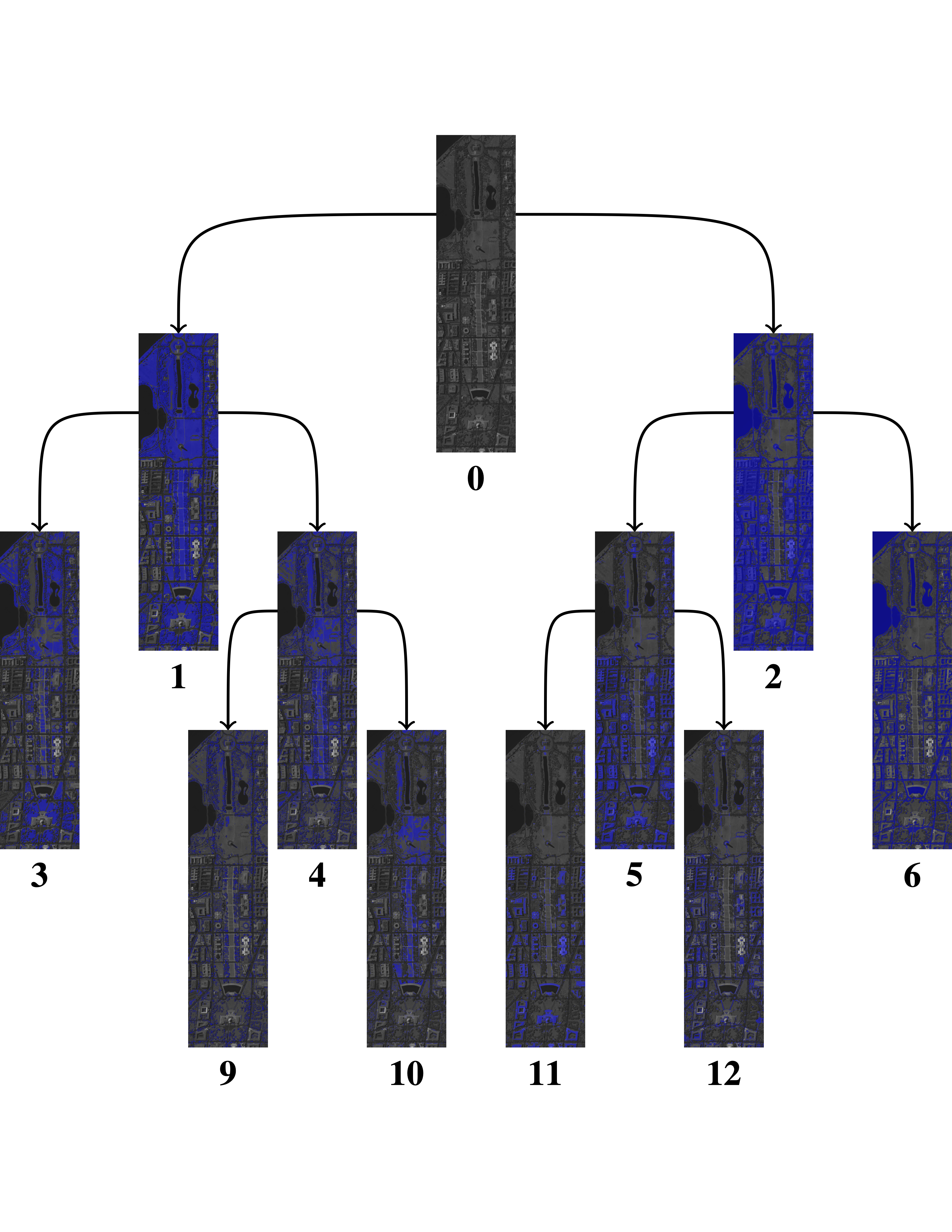 (Hyperspectral image tree)