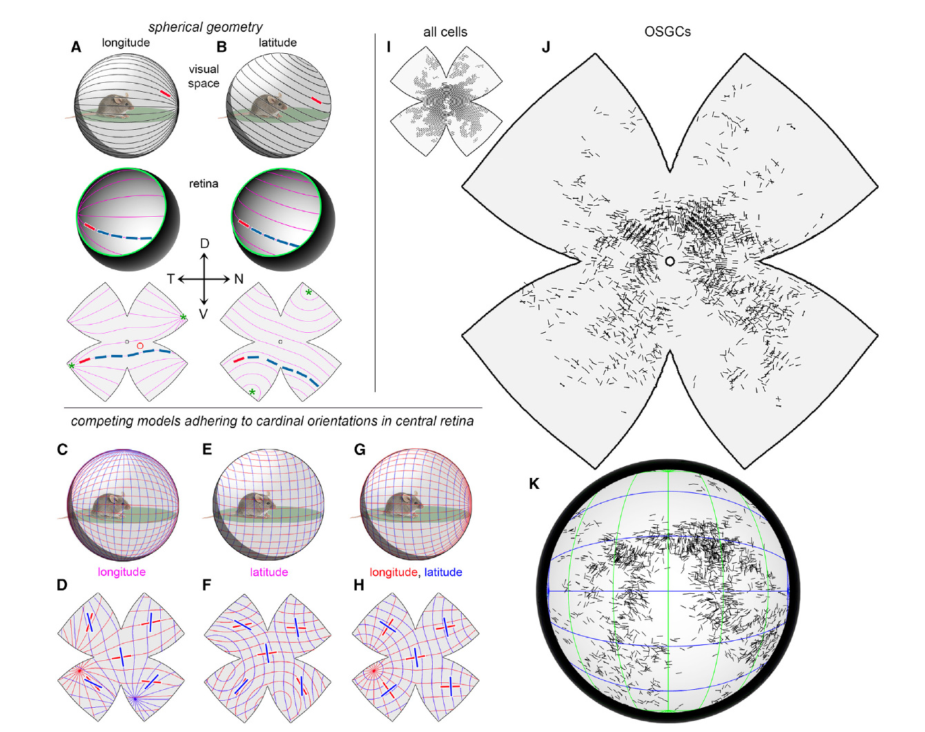 Figures from the Nature paper on retinal coding