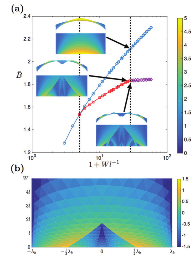 Bending-energy comparison and disparity for single-wavelength and branch-point isometries