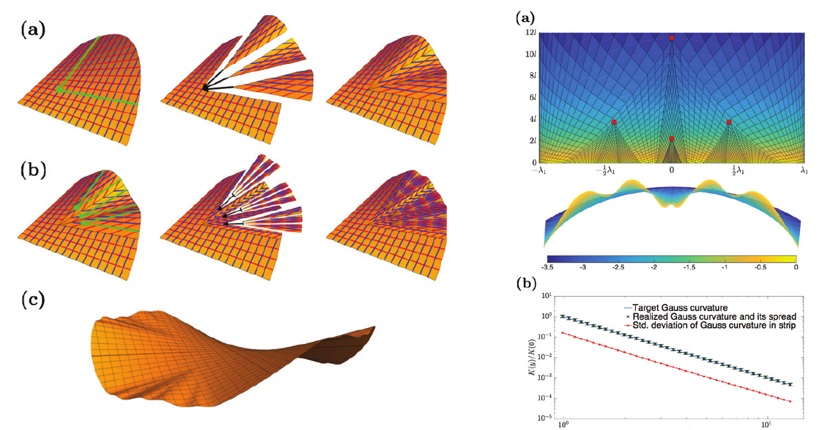 Figures from papers on non-Euclidean elastic sheets