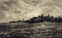 landscape with rabbits