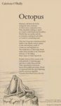 The Octopus by Caitriona O�Reilly
